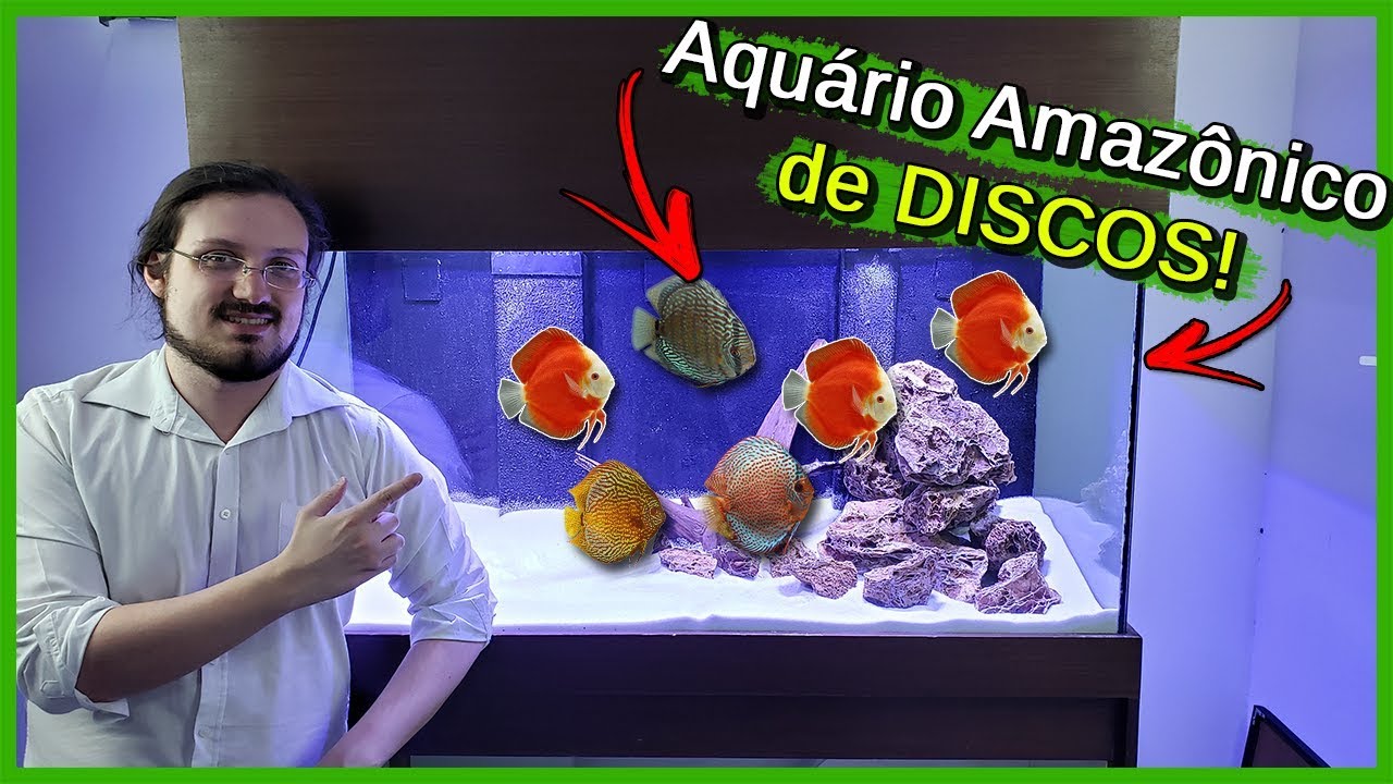 Montando um Aquário Amazônico de 400 Litros para DISCOS Plantado!