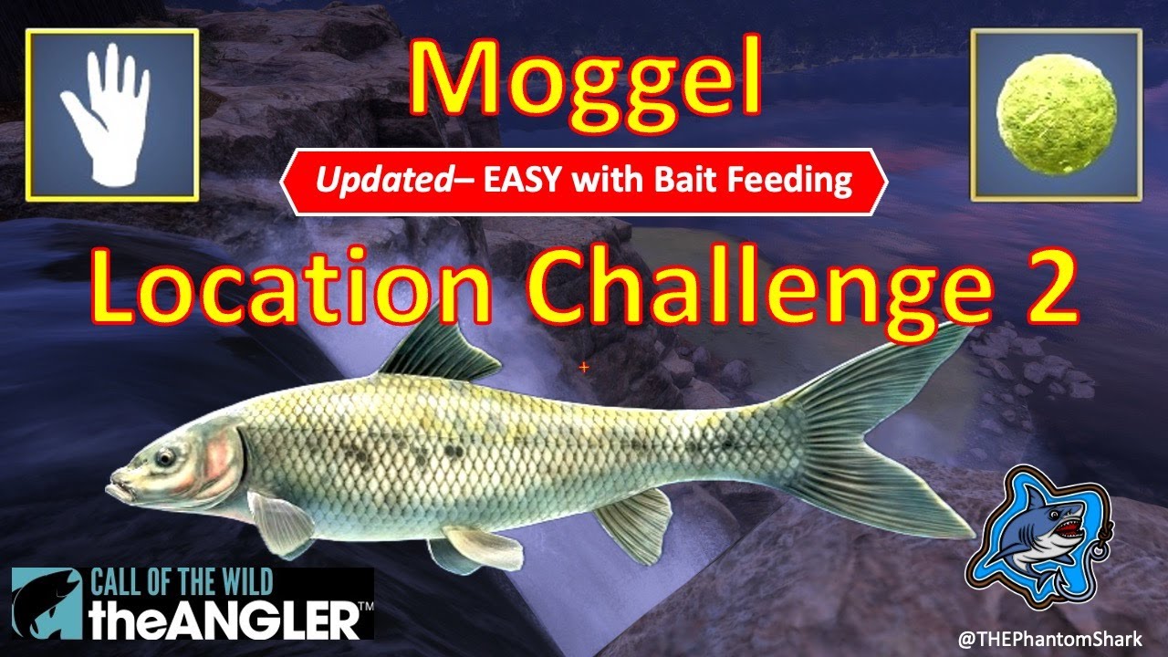 ОБНОВЛЕНО Moggel Location Challenge 2 Africa Izilo Zasendulo Call of the Wild: The Angler