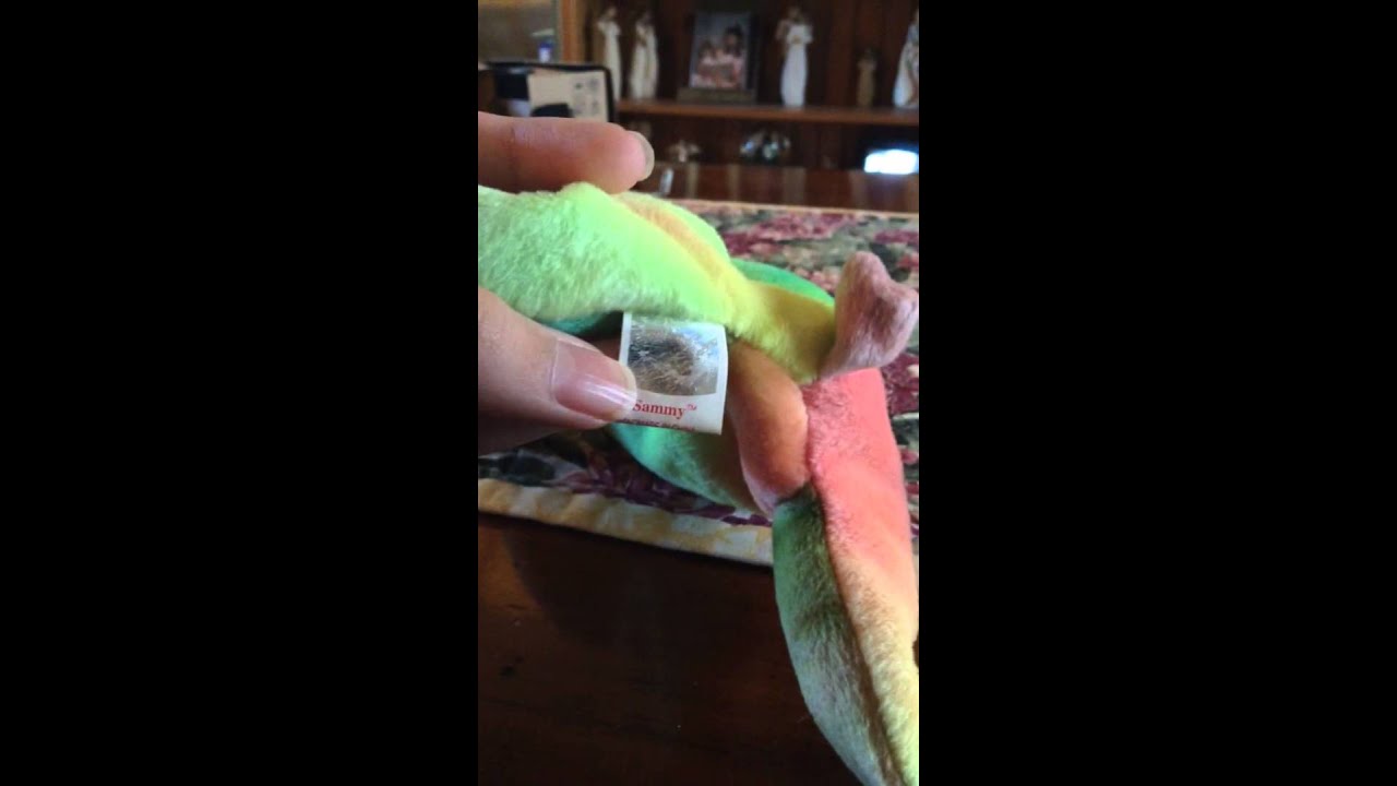 TY Beanie Babies: Sammy