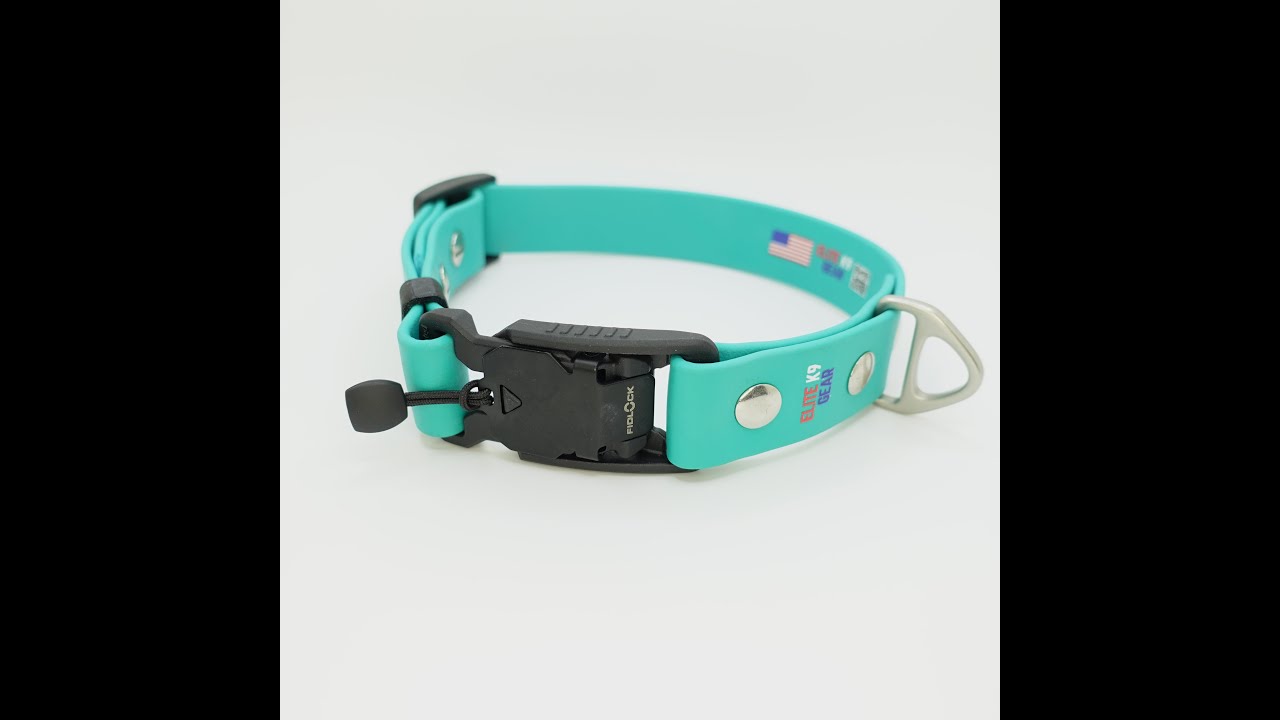 How to Make a Biothane Dog Collar with Heat Transfer Vinyl Name