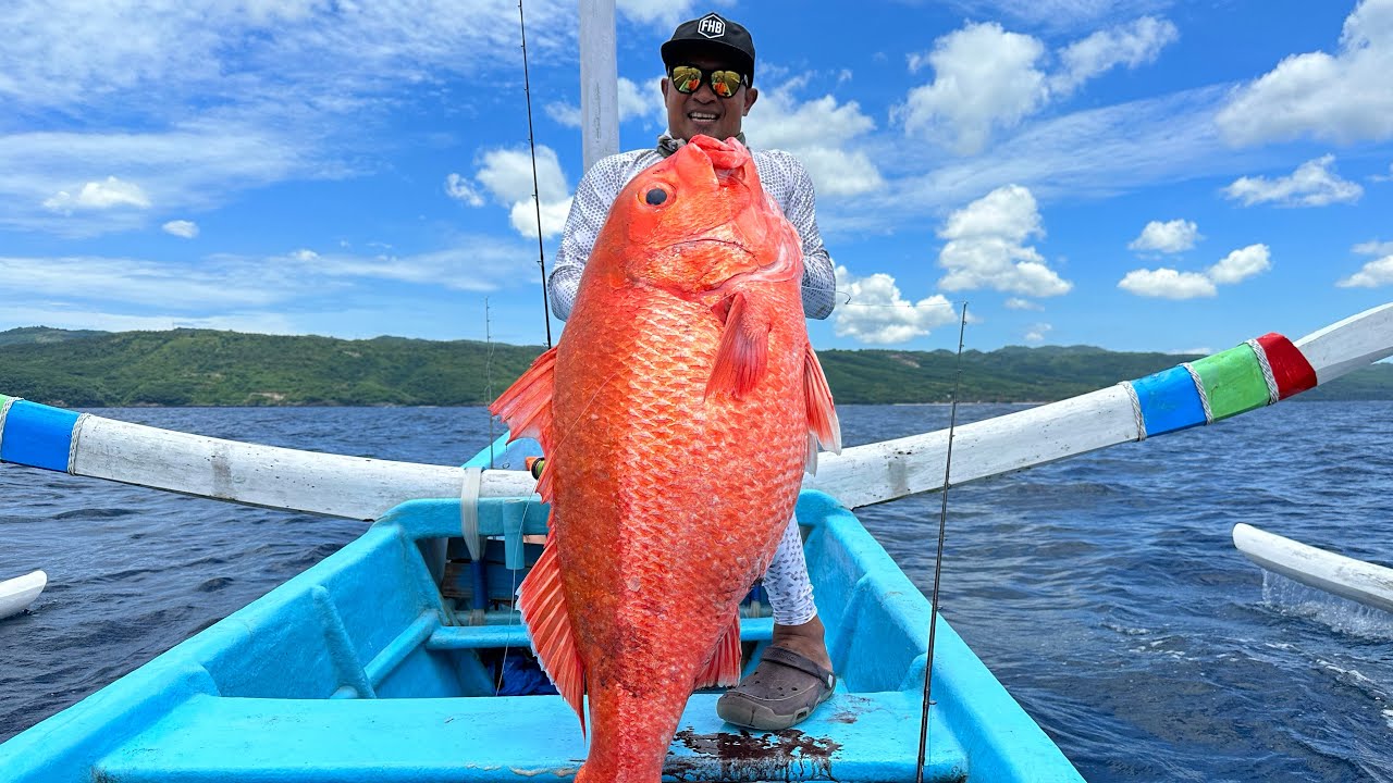 JACKPOT RUBY BAGONG SUPER BABON || LIVE BAIT FISHING