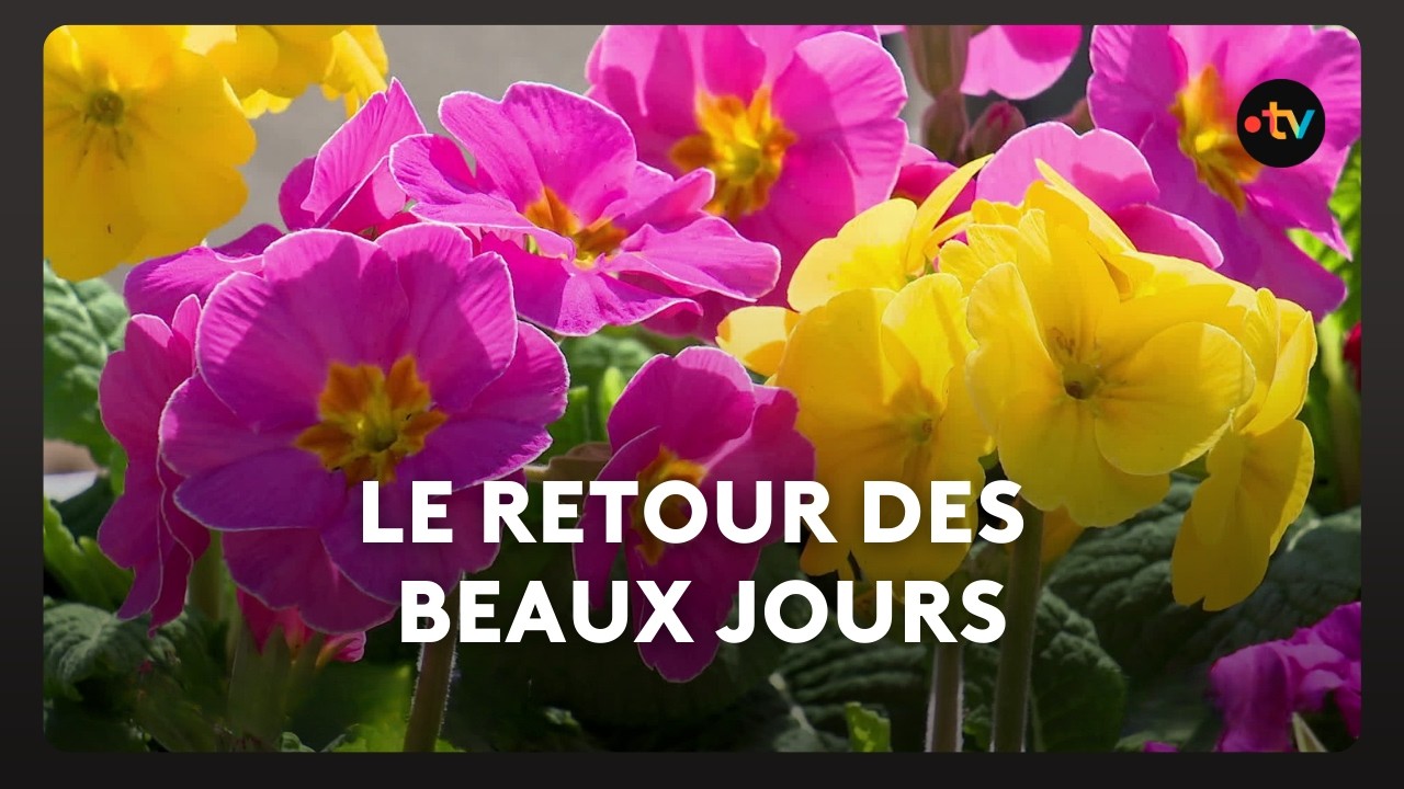 On profite du retour des beaux jours en terrasse à Bénodet.