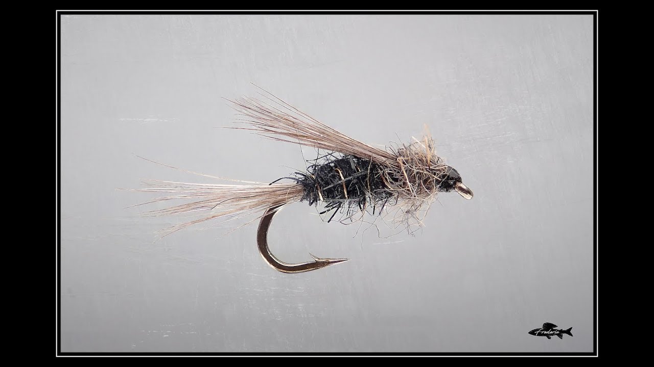 Emergente de sedge