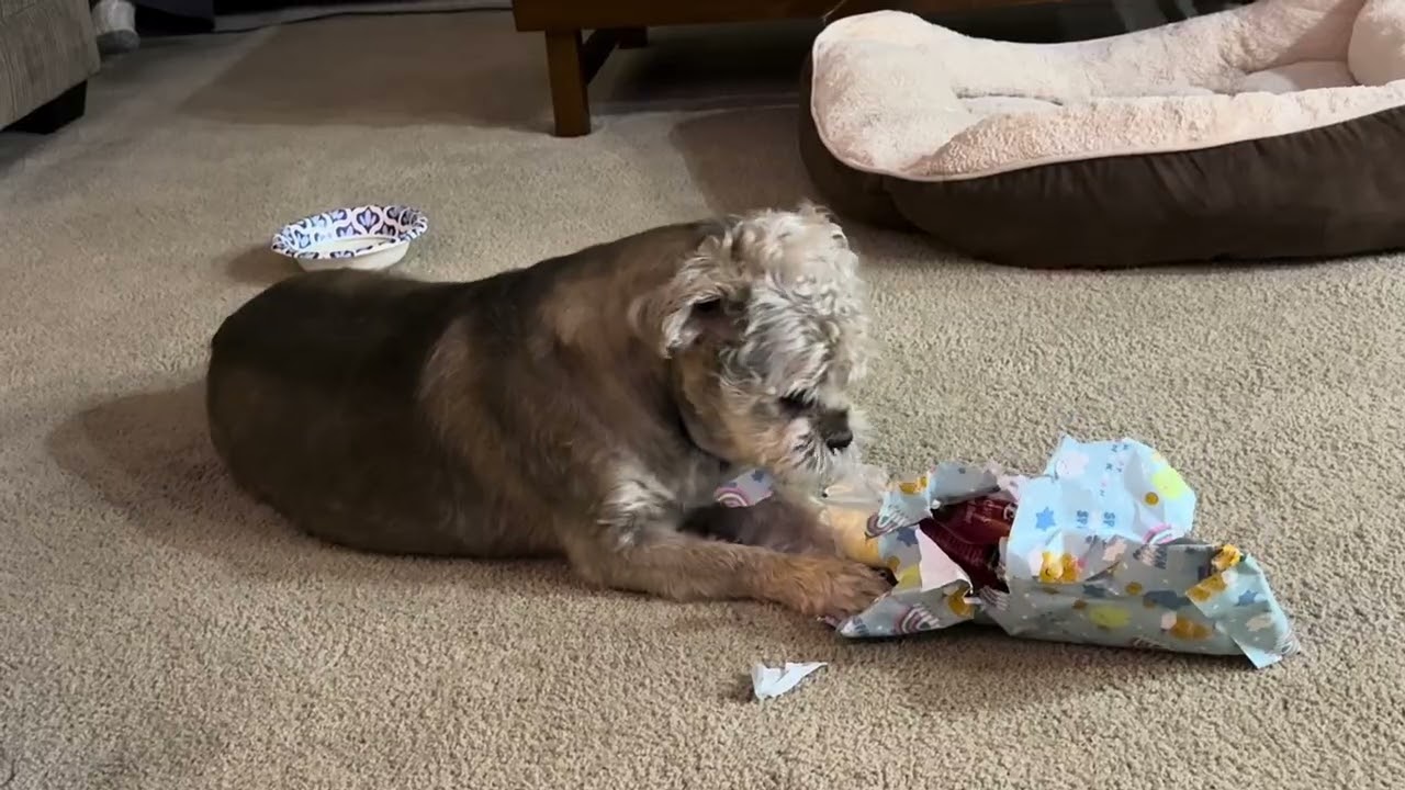 Gremlin’s Favorite Christmas Gift!