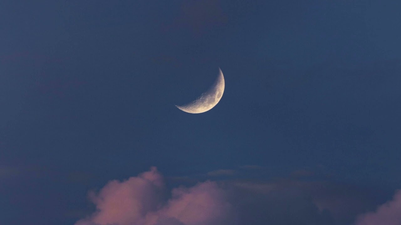 달빛 아래 비추는 연못 | A pond lit by the moonlight [Sleep BGM\