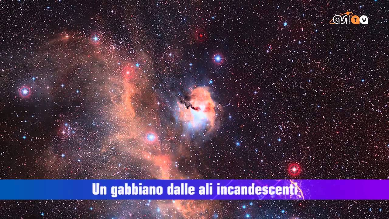 Mondi alieni abitabili attorno a nane rosse