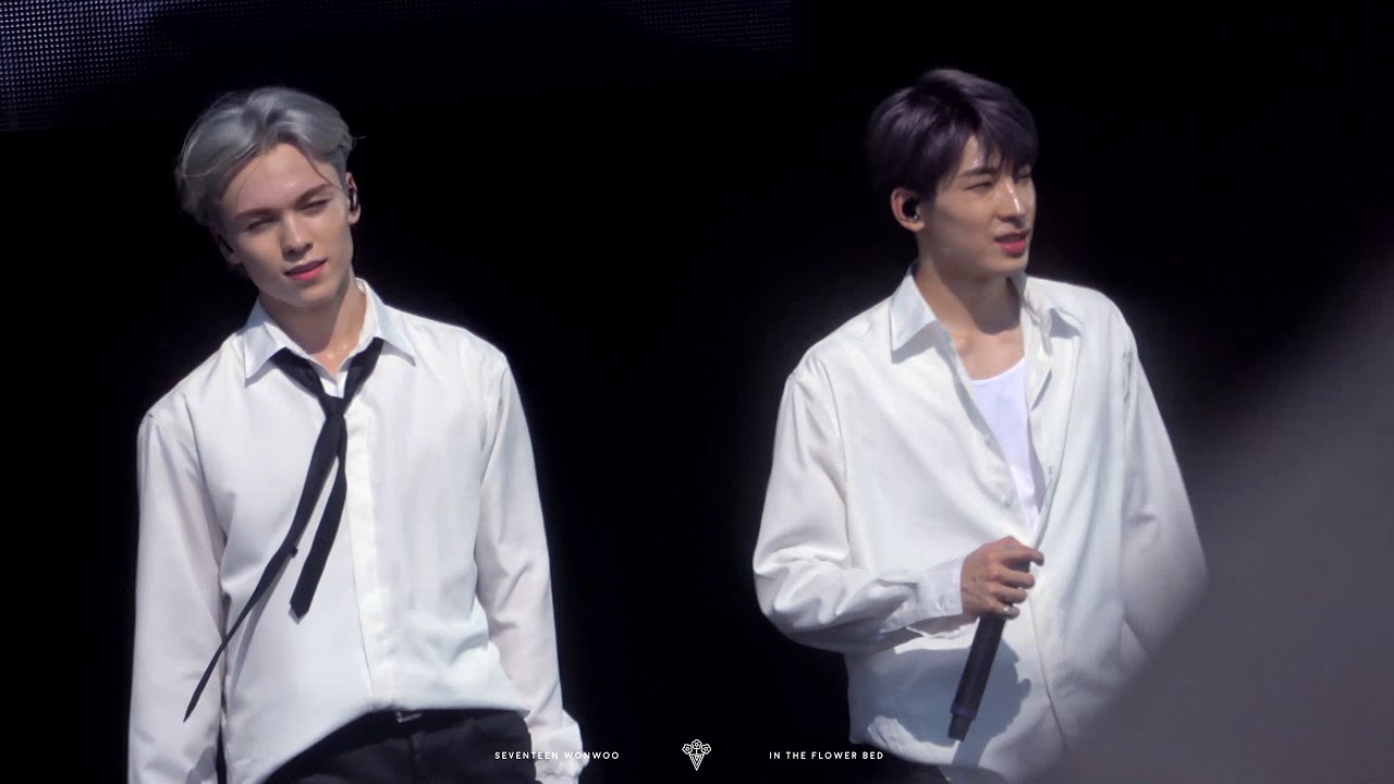 190817 Summer Sonic 섬머소닉 세븐틴 SEVENTEEN 원우 Wonwoo Focus Clip