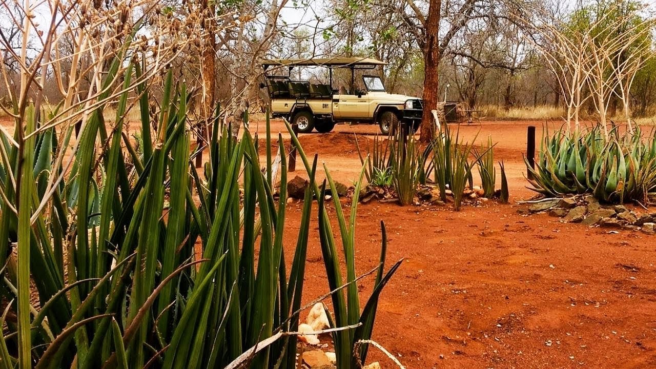 Bushwise Mahlahla campus tour