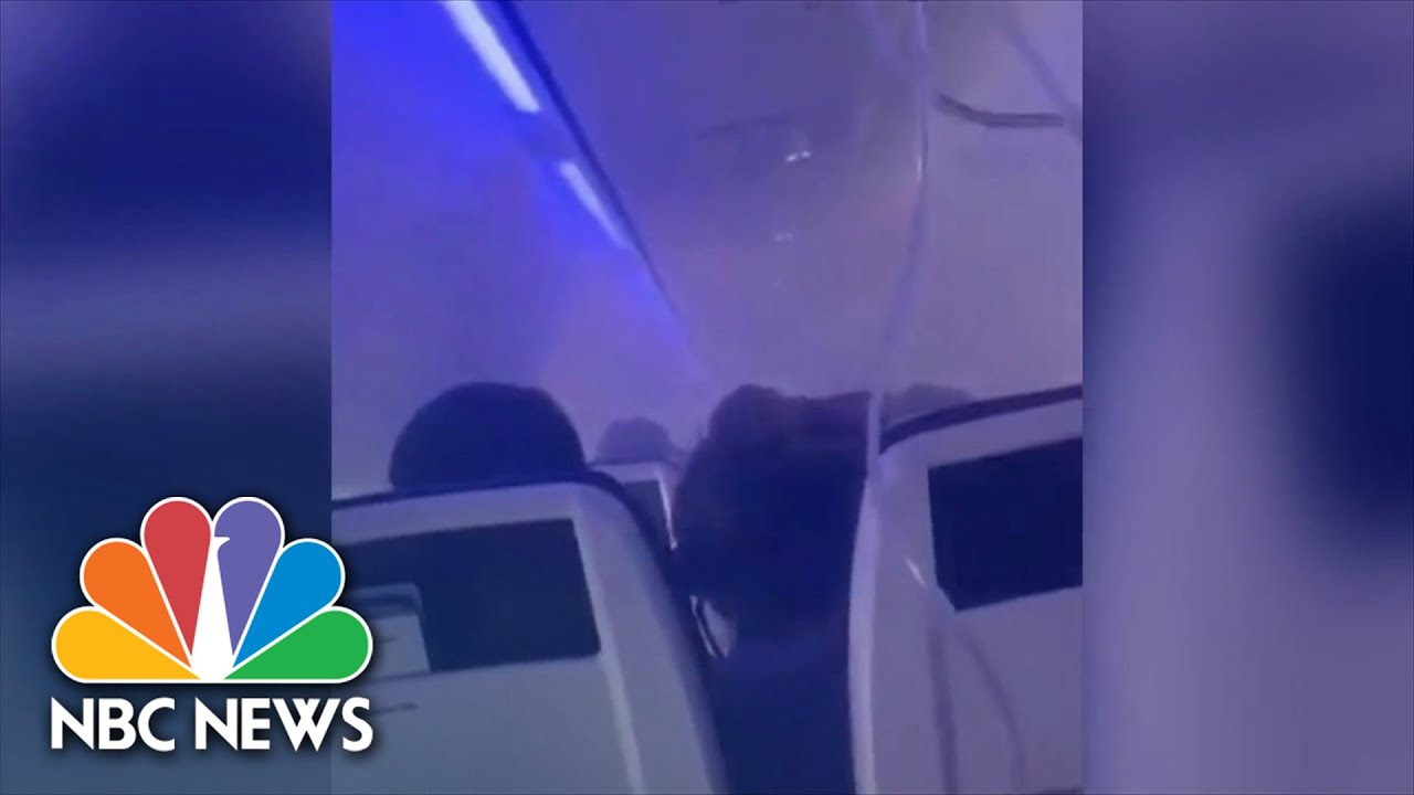 Southwest plane makes emergency landing after bird strike