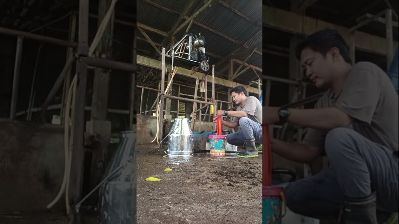 After Dairy Farm Operations | Cleaning, Checking & Preparing for Tomorrow