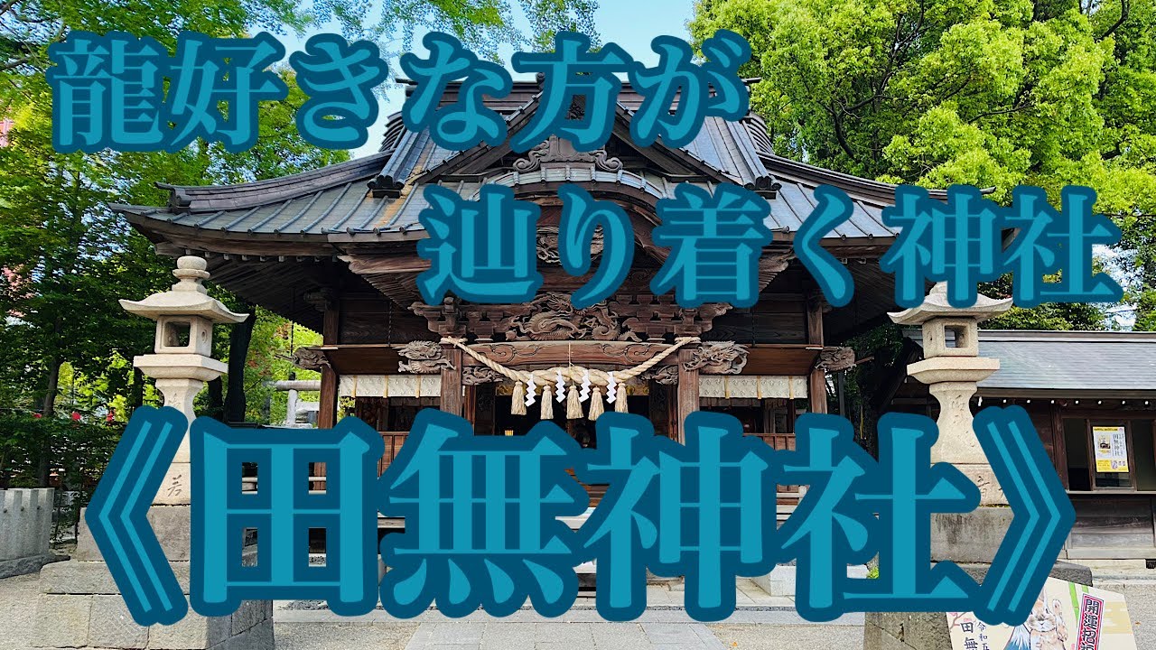 沢山の龍と参拝されている方々が御祭神の大国主命のような笑顔で溢れる《田無神社》おみくじ&サインもあります♪