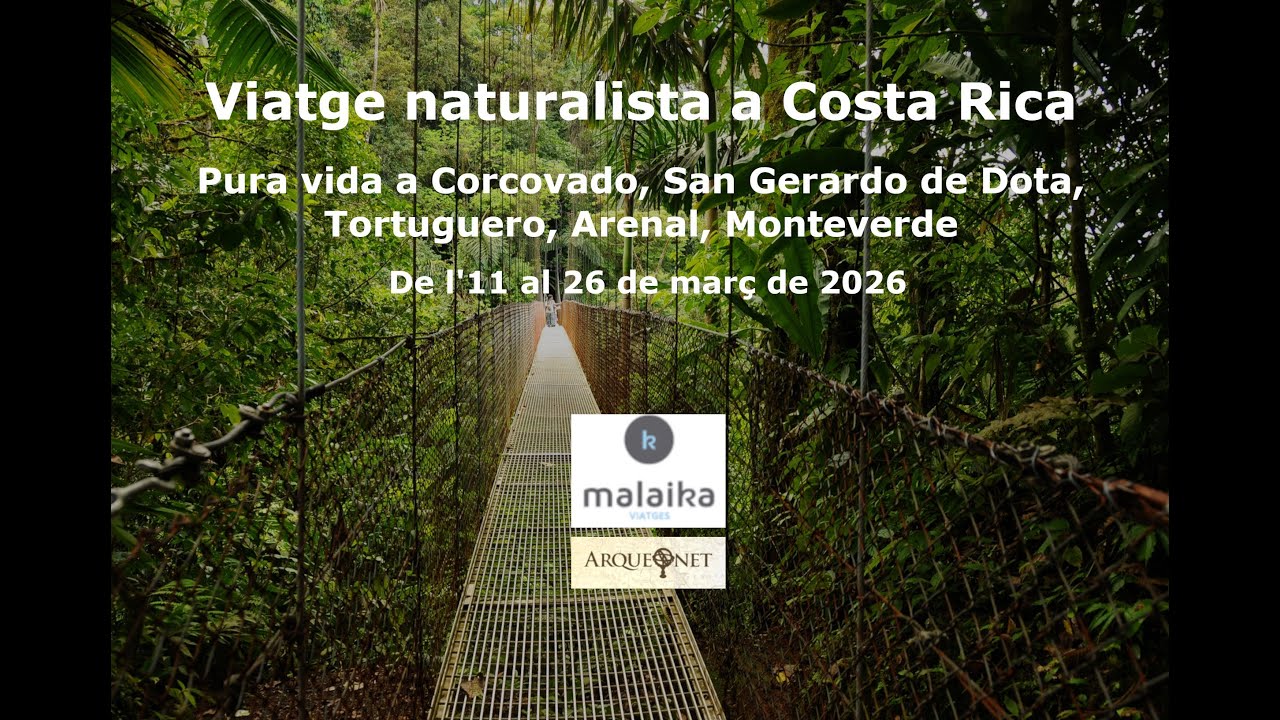 Viatge naturalista a Costa Rica