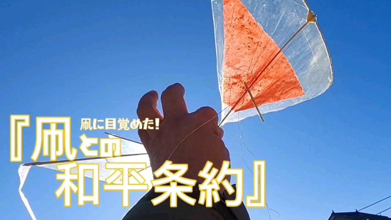 凧に目覚めた『凧との和平条約』2025年3月2日
