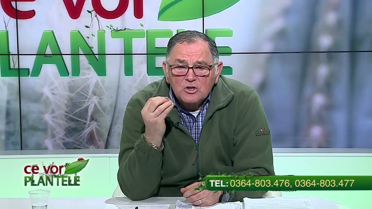 Cum și c&acirc;nd dezinfectam solul?