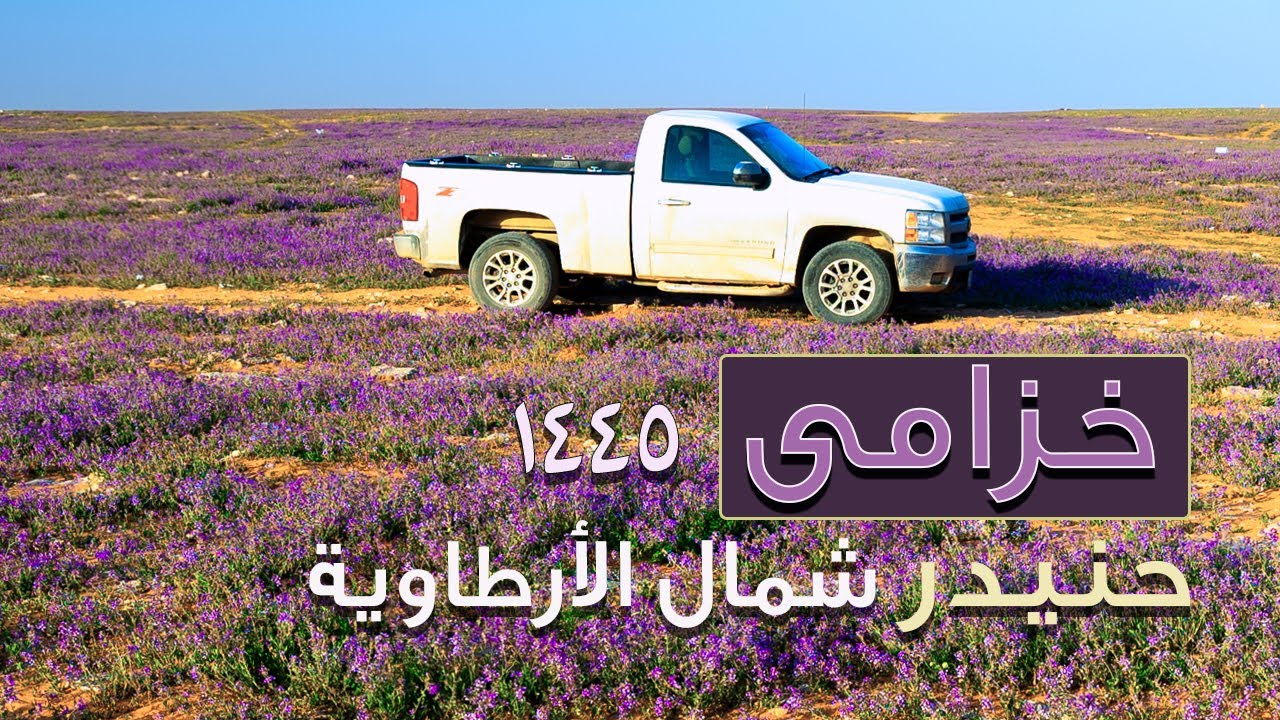 كشتة في ربيع حنيدر والقاعية بالقرب من الأرطاوية | زهور الخزامى تعطر المكان 1445