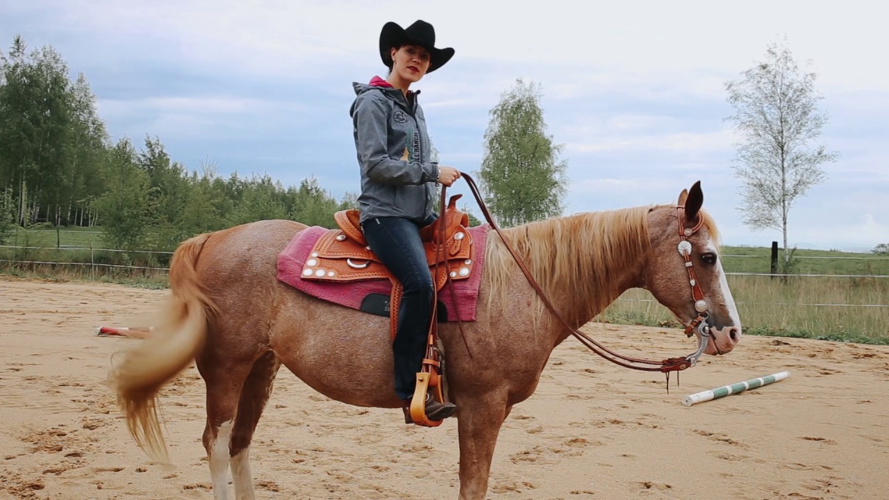Kurs jazdy western | odc. 4 - przejścia 