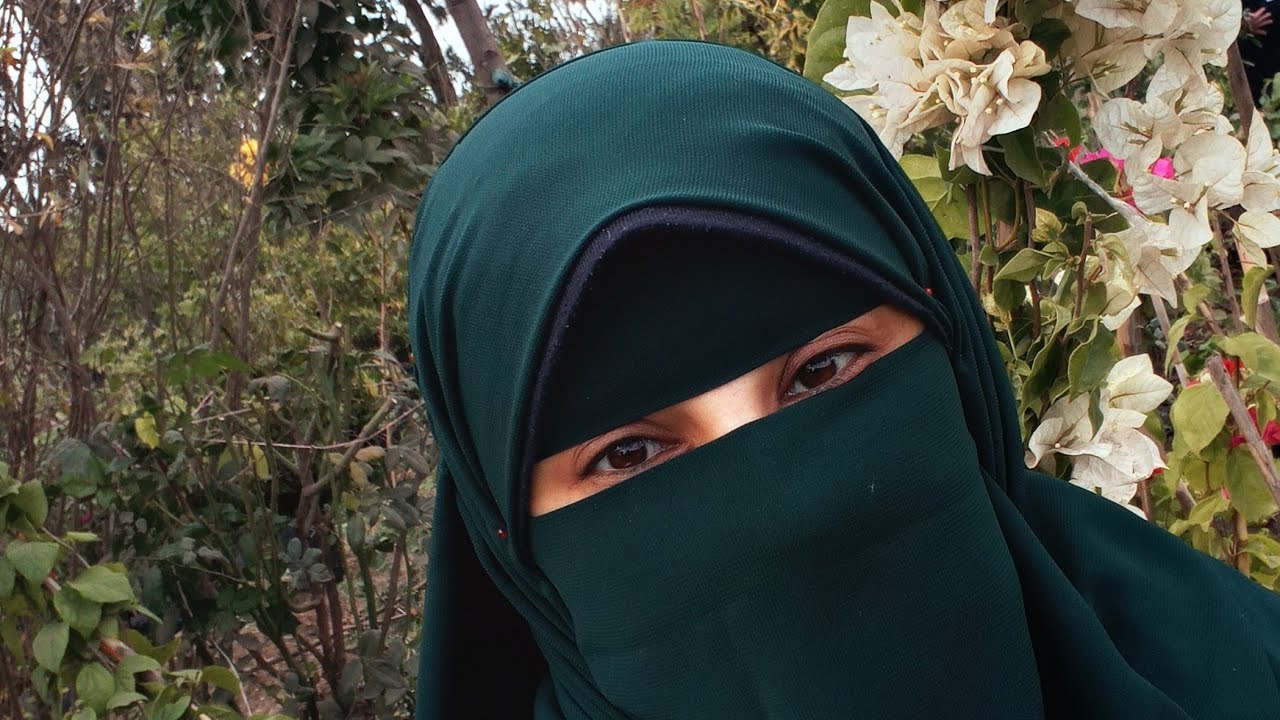 مساء الورد 🌹🌹🌹🌹