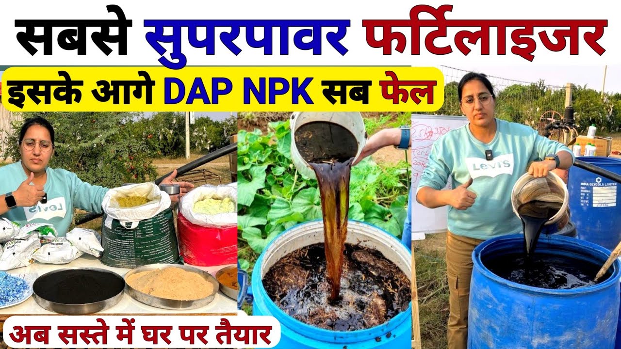 DAP यूरिया NPK से अधिक ताकतवर सुपरपावर खाद | organic highpower | humic acid | super power fertilizer