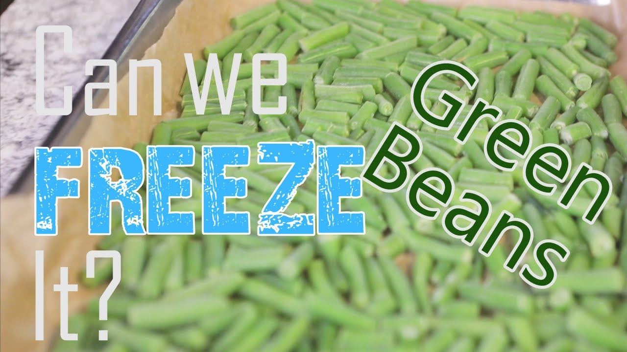 CAN YOU FREEZE Fresh Green Beans?