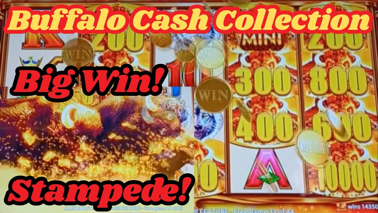 Стэмпдинг! Большой выигрыш в лотерее Buffalo Cash Collection!