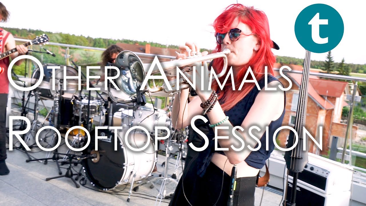 Thomann Sessions | Other Animals, Australia