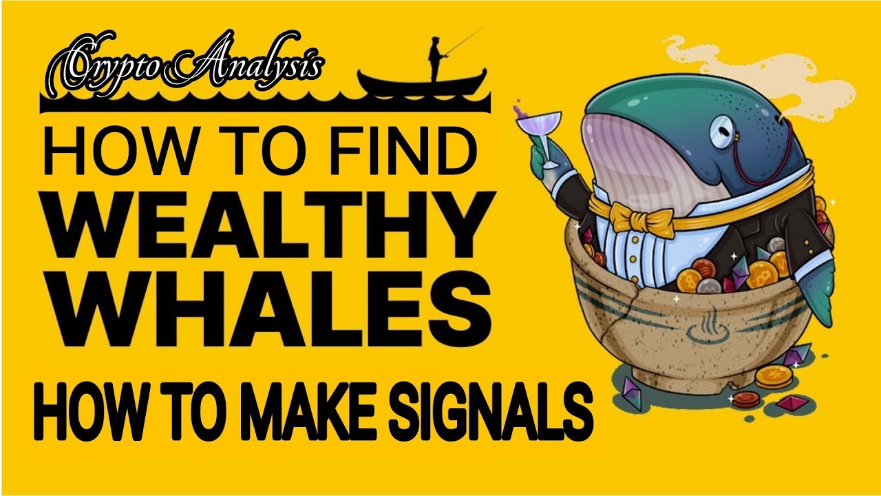 How To Make Crypto Signals | How to Find Whales and their positions