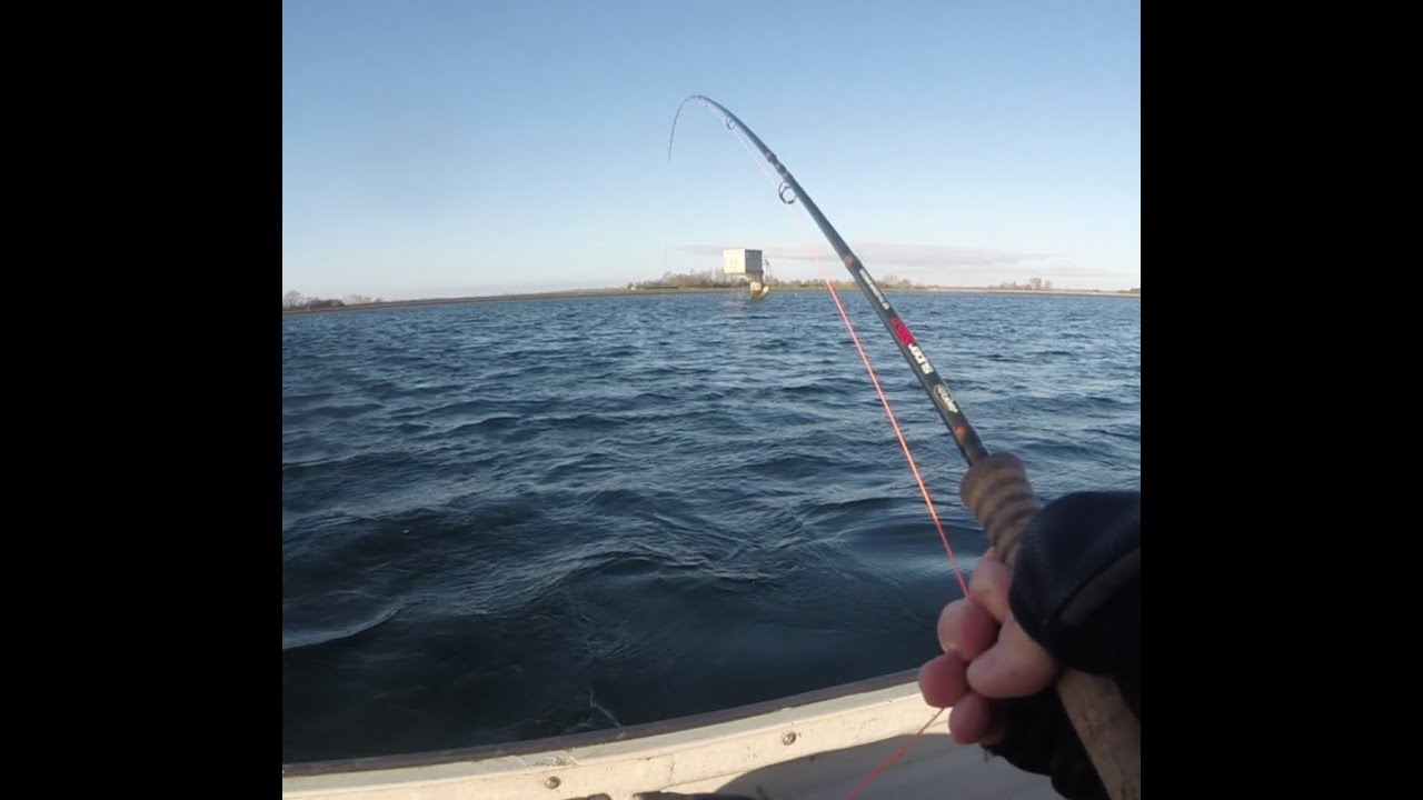Fly Fishing Farmoor Reservoir - January 2022