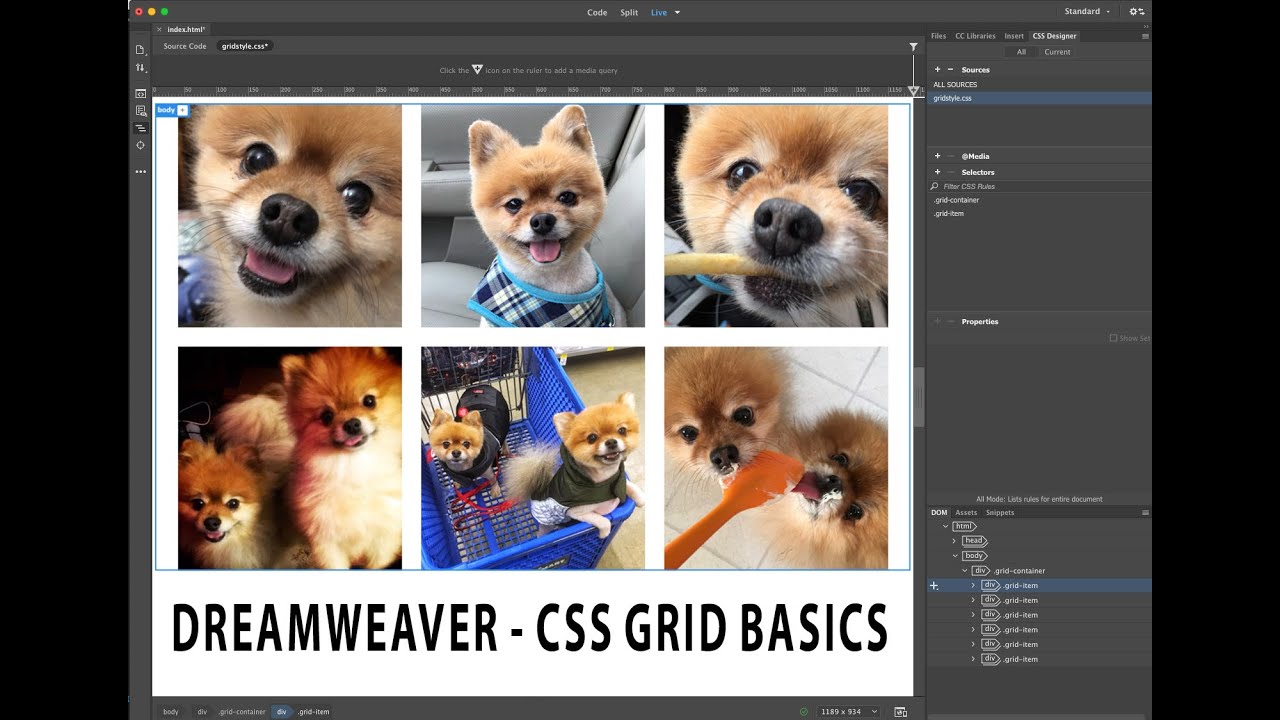 Dreamweaver: CSS Grid Basics
