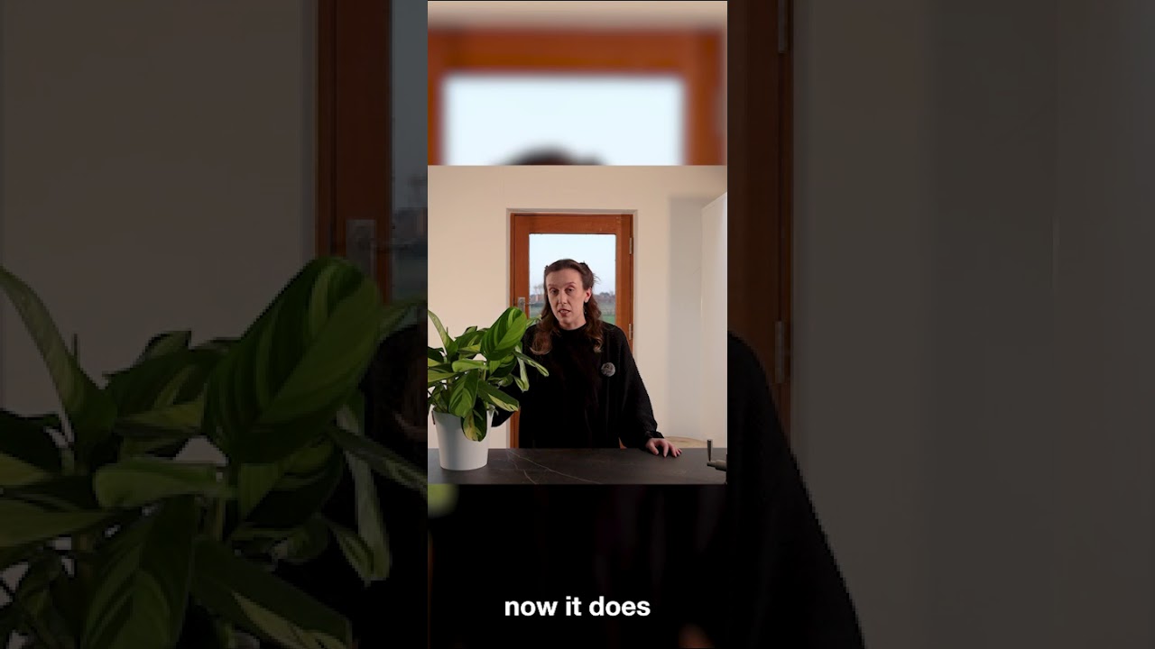 Calathea Golden Mosaic