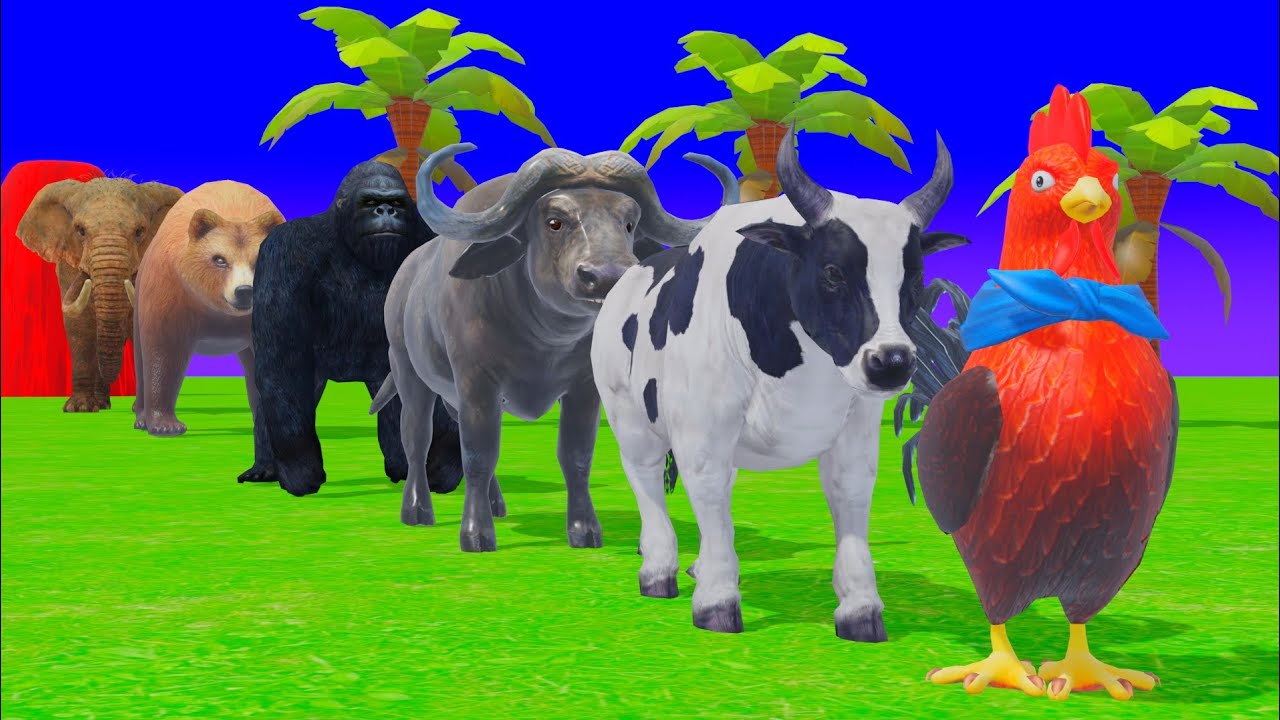 Long Slide Game with Tigers Lion Cow Hippopotamus Gorilla 3d Animal Game Funny 3d Animals