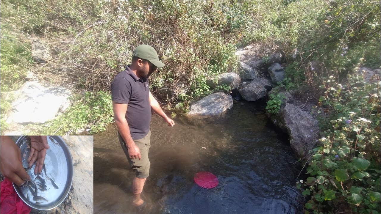 उत्तराखंड मैं मछली पकड़ने के गधेरे !! Interesting Fish Trap !!  #fishing #fish #fishingvideo