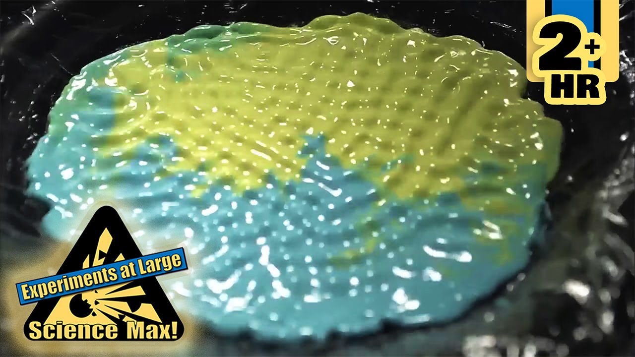 The TOP Science Experiments You Need to Try Now | Science Max | Scholastic After School