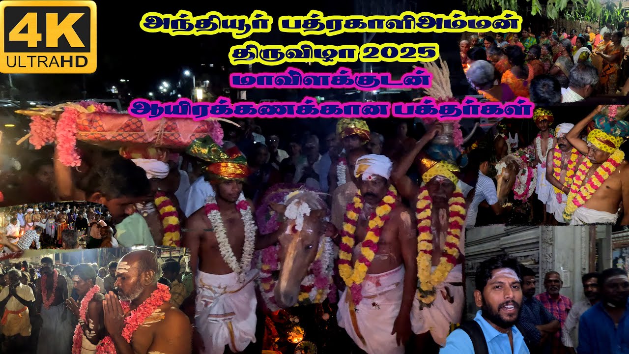 அந்தியூர் பத்ரகாளியம்மன் கோவில் திருவிழா 2025 || மாவிளக்குடன்  ஆயிரக்கணக்கான பக்தர்கள்