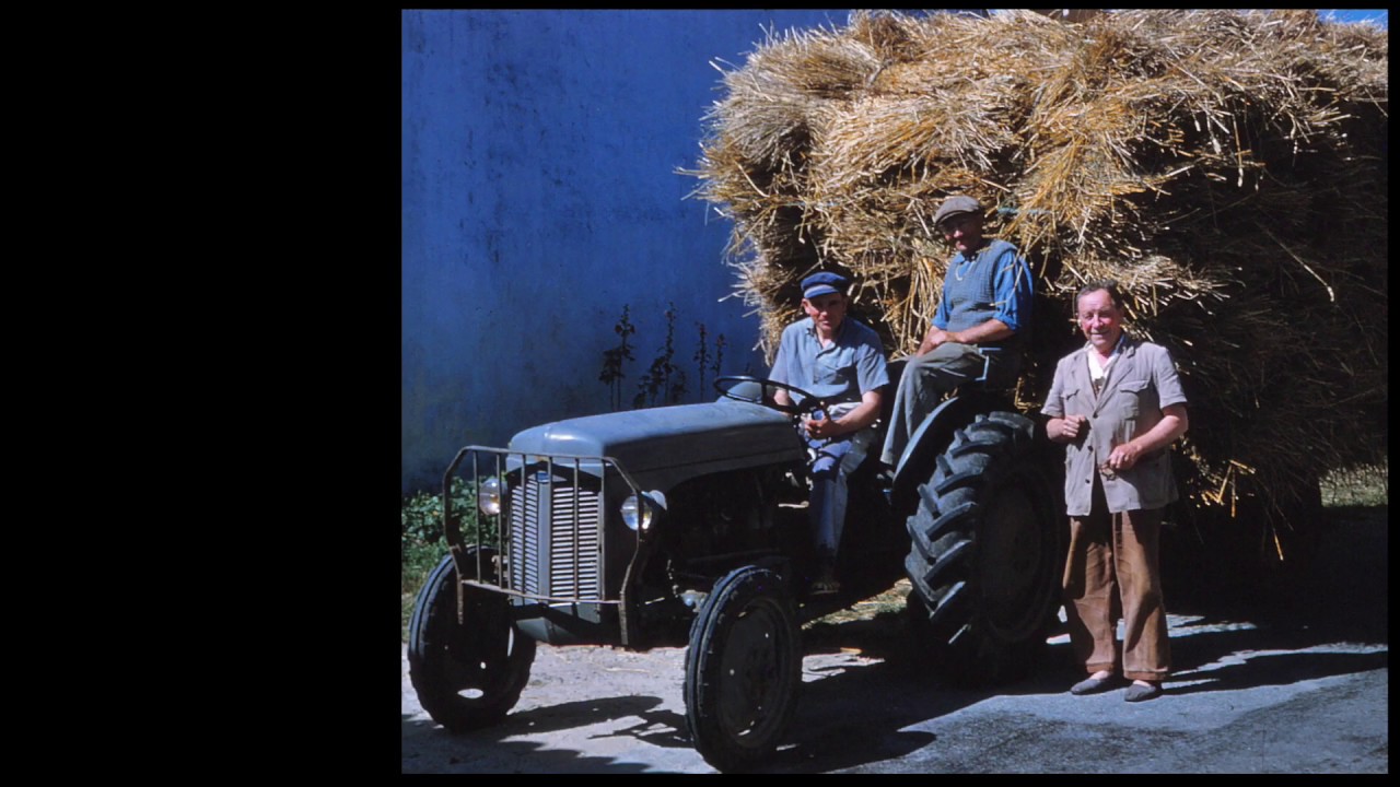 Ile de Re 1956: Trafic à La Rivière et aux Portes