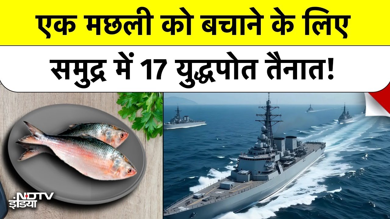 इस एक Fish के लिए Bangladesh ने लगा दिए 17 युद्धपोत, वजह क्या? | Hilsa Fish | Ilish Fish