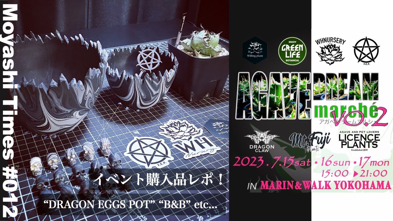 #12【購入品レポ！】アガベドリームマルシェ Vol.2 @MARIN＆WALK 横浜