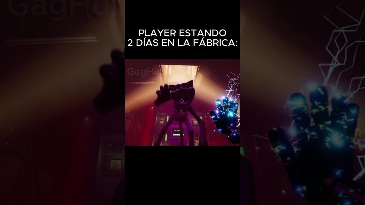 TODO TRANQUI
