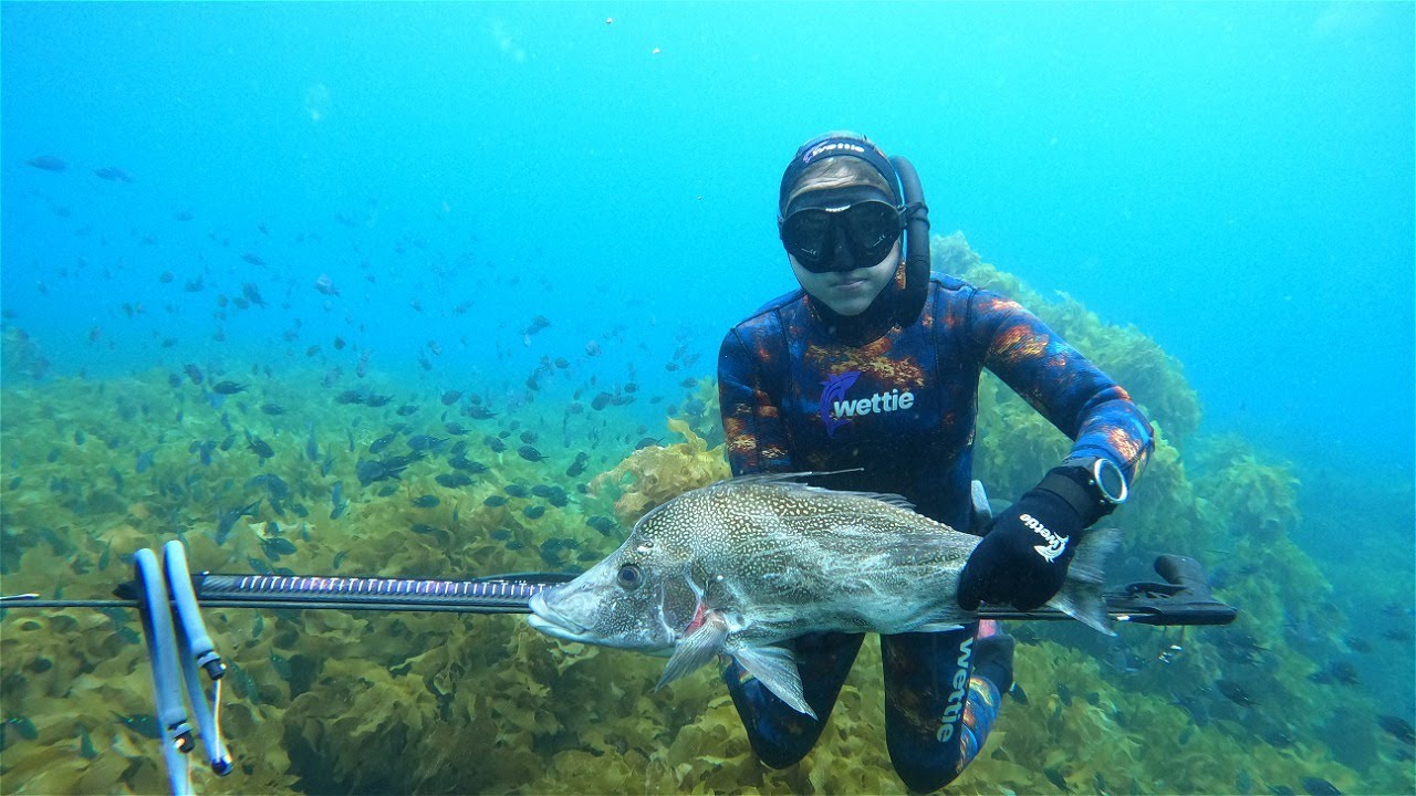 Wettie TV | HUNTING Techniques to improve SPEARFISHING