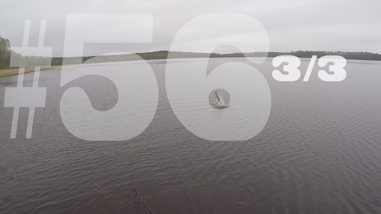 G&auml;ddfiske - Ytbeten, Karatehugg & Sp&ouml;regn Del 3/3