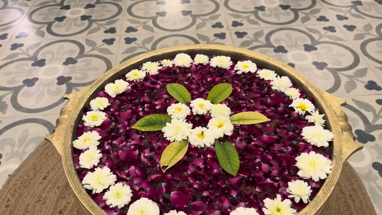 Tour of Hotel White Rabbit, Pushkar, India