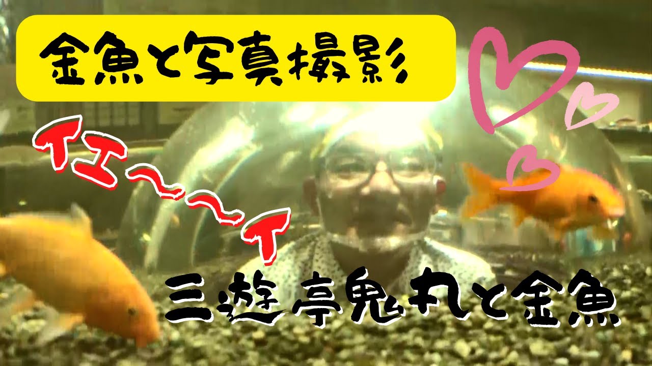 【放送未公開】金魚と写真撮影♡　鬼丸テレビ#143