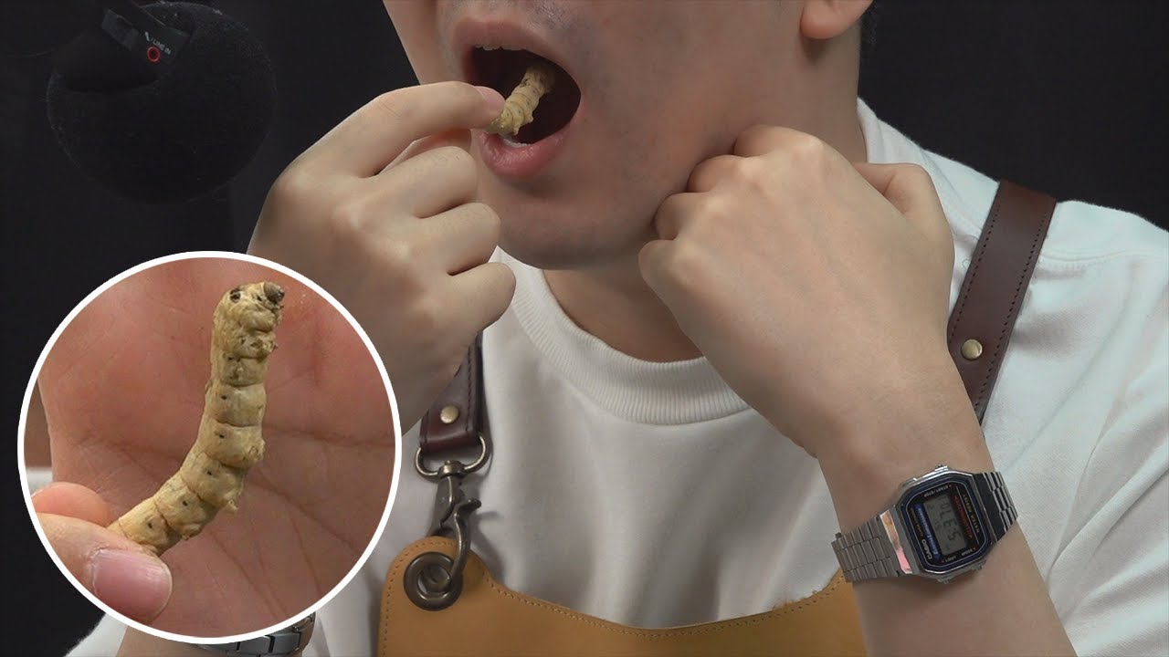 햄스터 간식을 먹어봤습니다 (I tried hamster snacks)