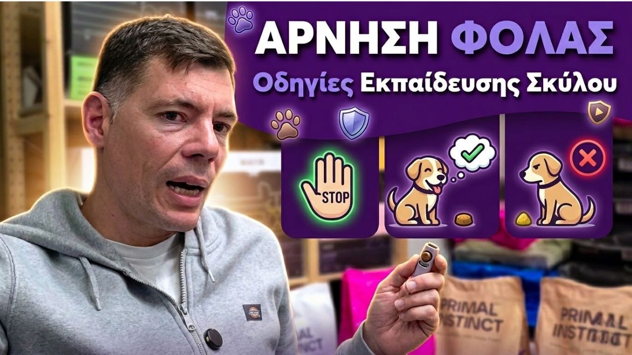 Πώς να ΜΗΝ τρώει ο Σκύλος σου από Άλλους - Άρνηση Φόλας