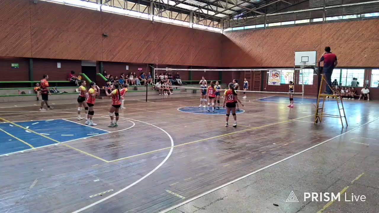 fénix u14 vs Moscatti