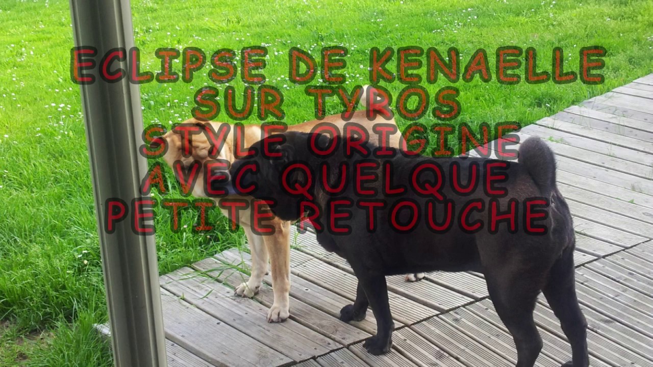 ECLIPSE DE KENAELLE SUR TYROS