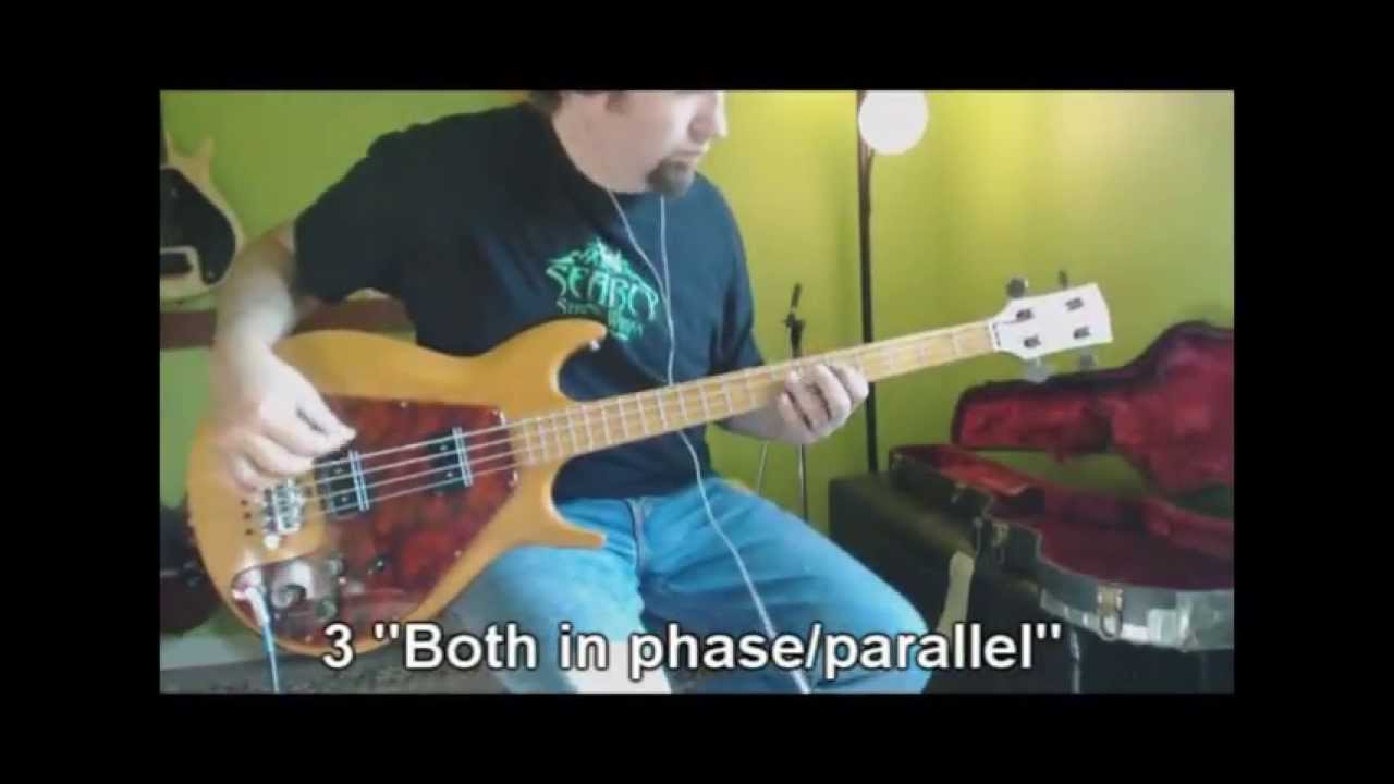 The Gibson Ripper Bass