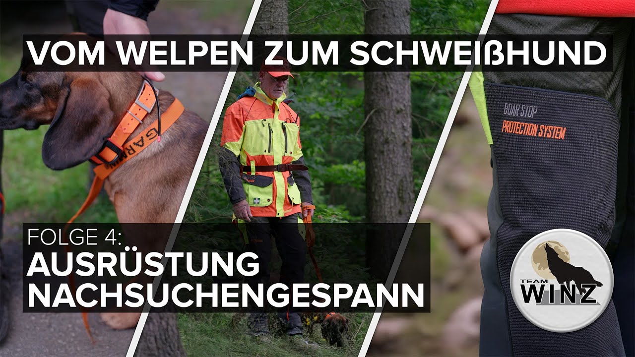 Vom Welpen zum Schweißhund | Folge 4: Ausrüstung