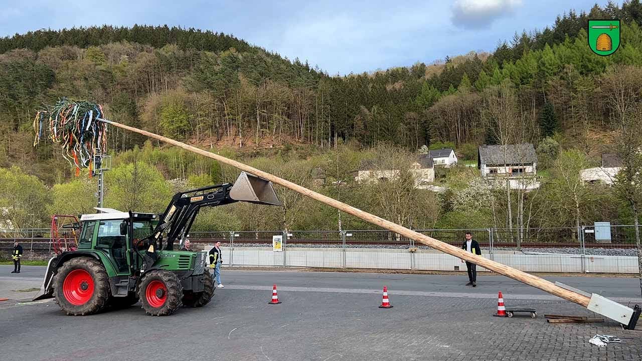 Traditionspflege: Maibaumaufstellen 2023