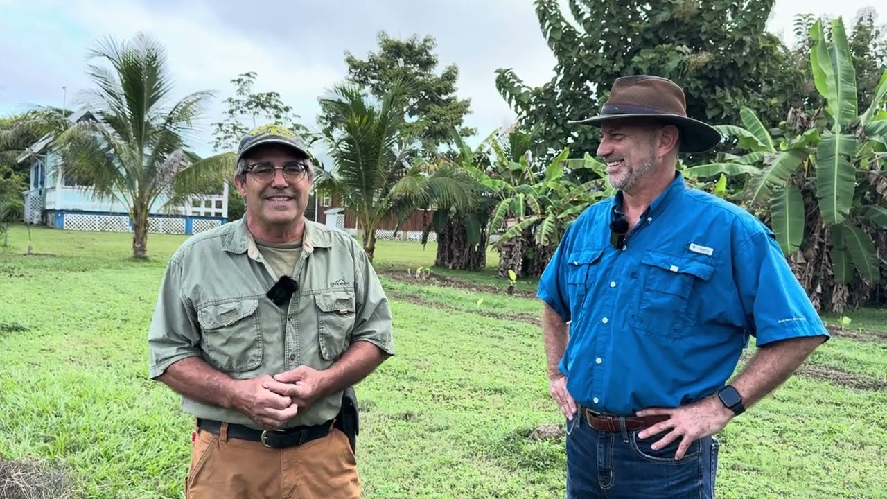 Working Toward Sustainable Living in Belize with Harry: Gardening & Permaculture