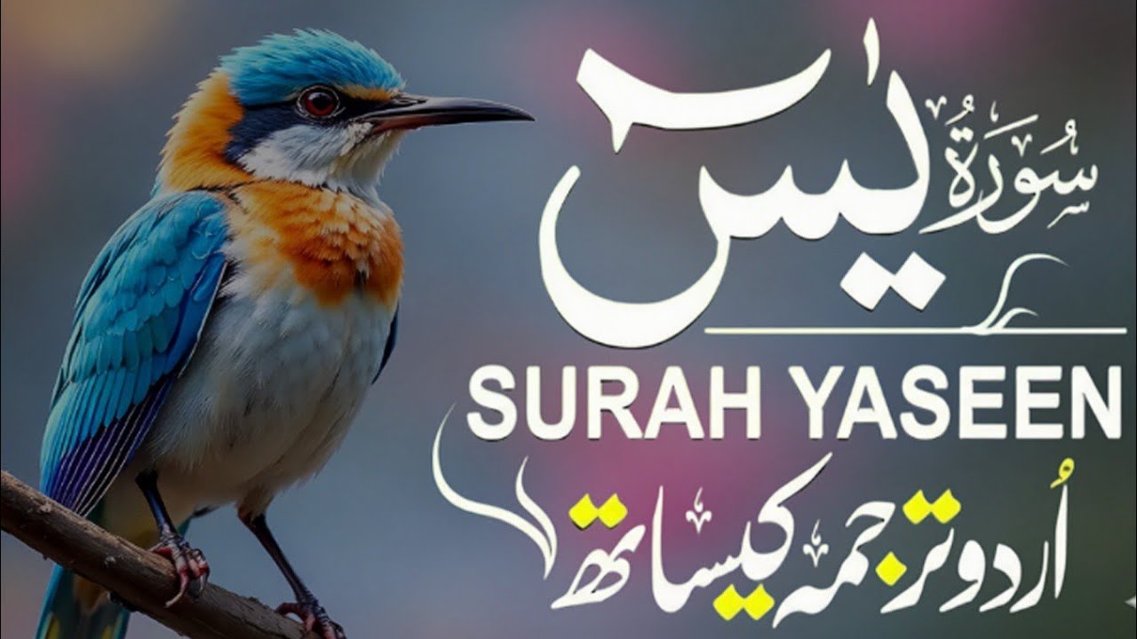 Surah Yaseen With Urdu Translation By Qari Mansoor Ghaznawi I Urdu And Hindi Tarjuma Episode 133